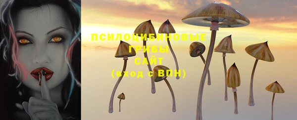 ГАЛЛЮЦИНОГЕННЫЕ ГРИБЫ Балахна
