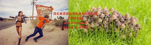 мет Армянск