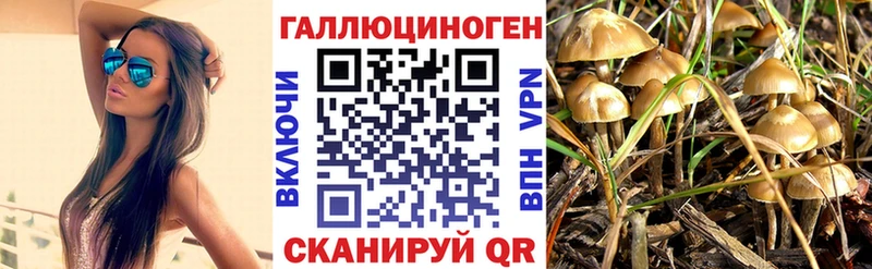 наркота  Лесосибирск  ссылка на мегу ONION  Псилоцибиновые грибы GOLDEN TEACHER 